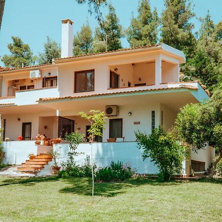 Forest House Near The Sea Sani  ภายนอก รูปภาพ