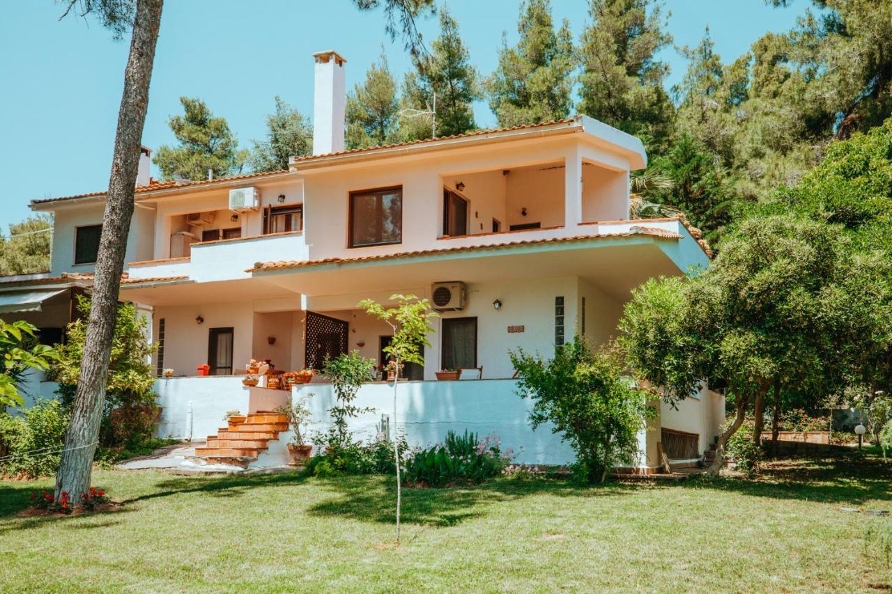 Forest House Near The Sea Sani  ภายนอก รูปภาพ
