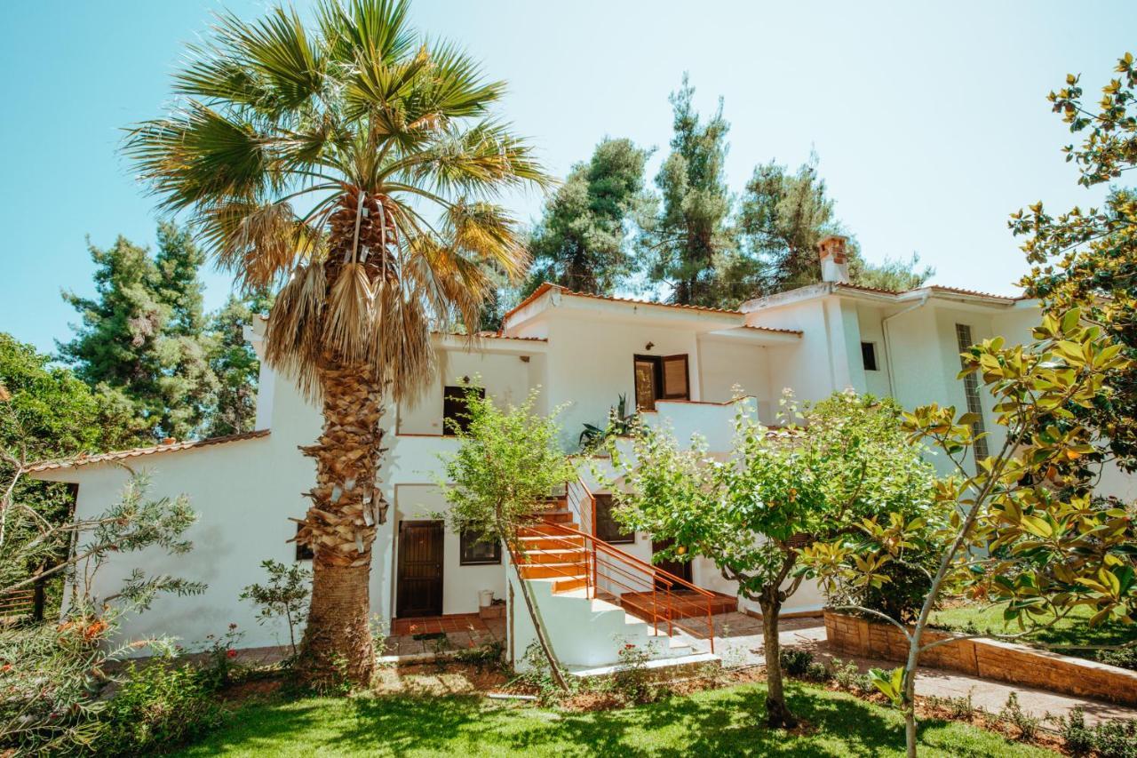 Forest House Near The Sea Sani  ภายนอก รูปภาพ