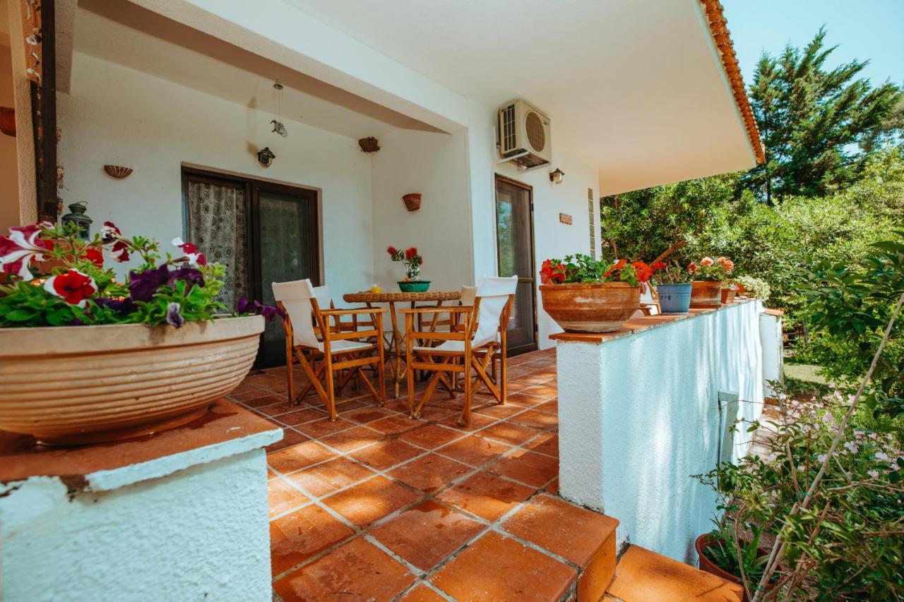 Forest House Near The Sea Sani  ภายนอก รูปภาพ