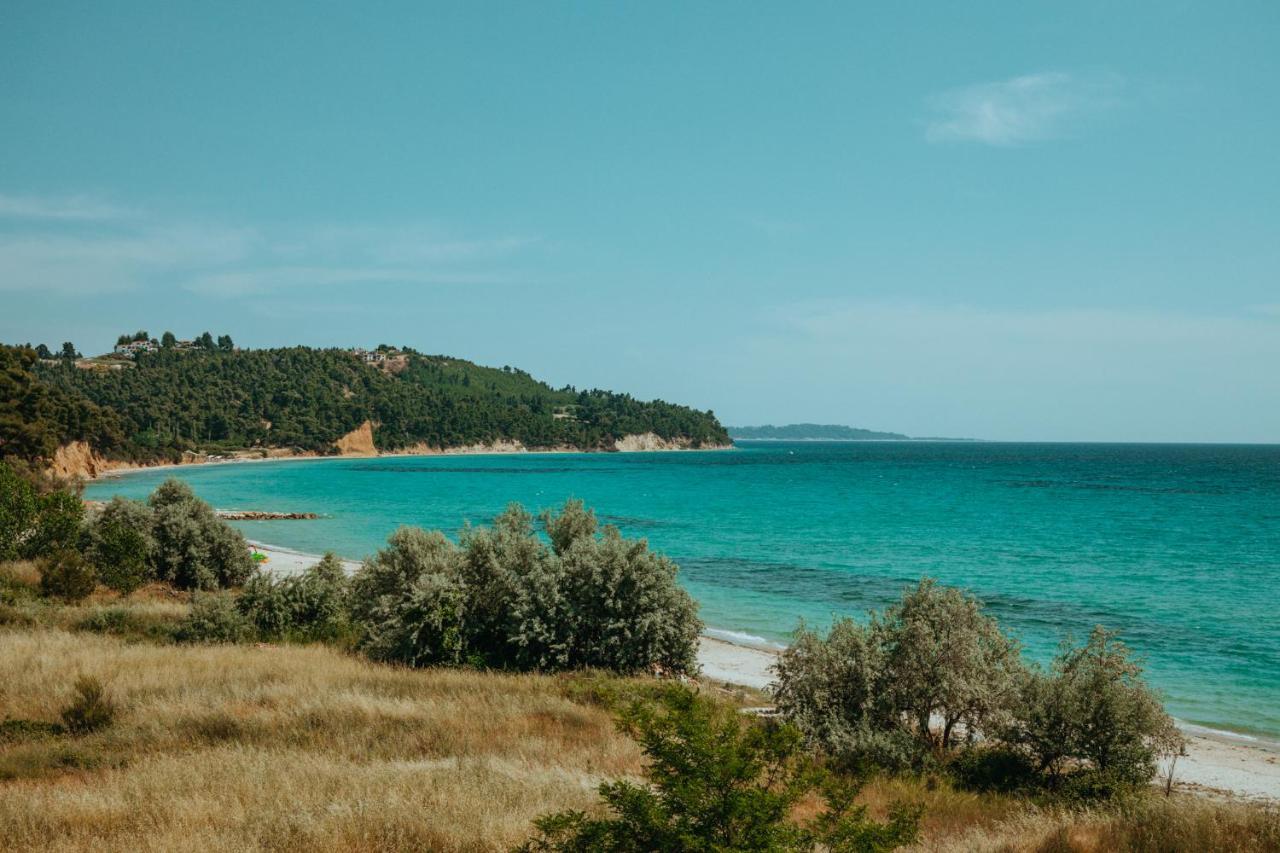 Forest House Near The Sea Sani  ภายนอก รูปภาพ