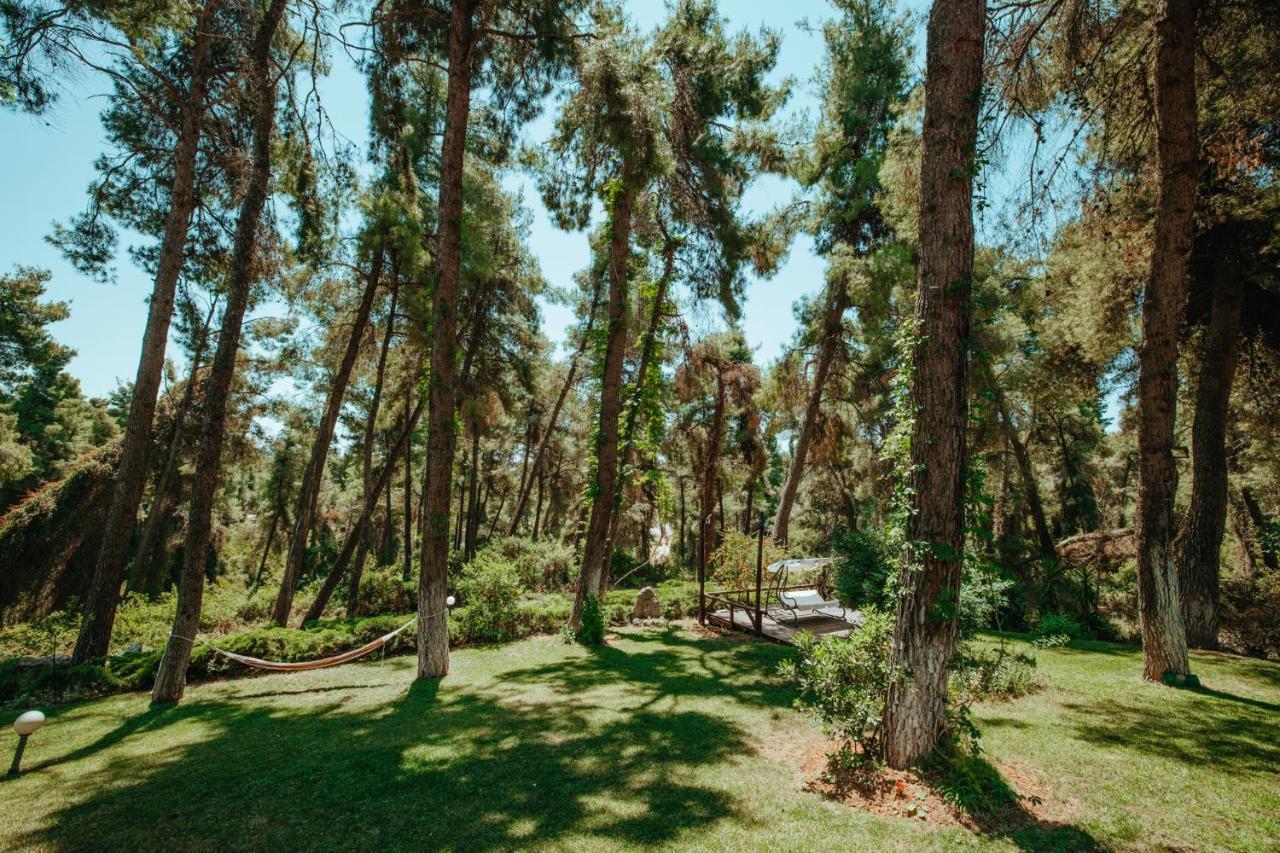 Forest House Near The Sea Sani  ภายนอก รูปภาพ
